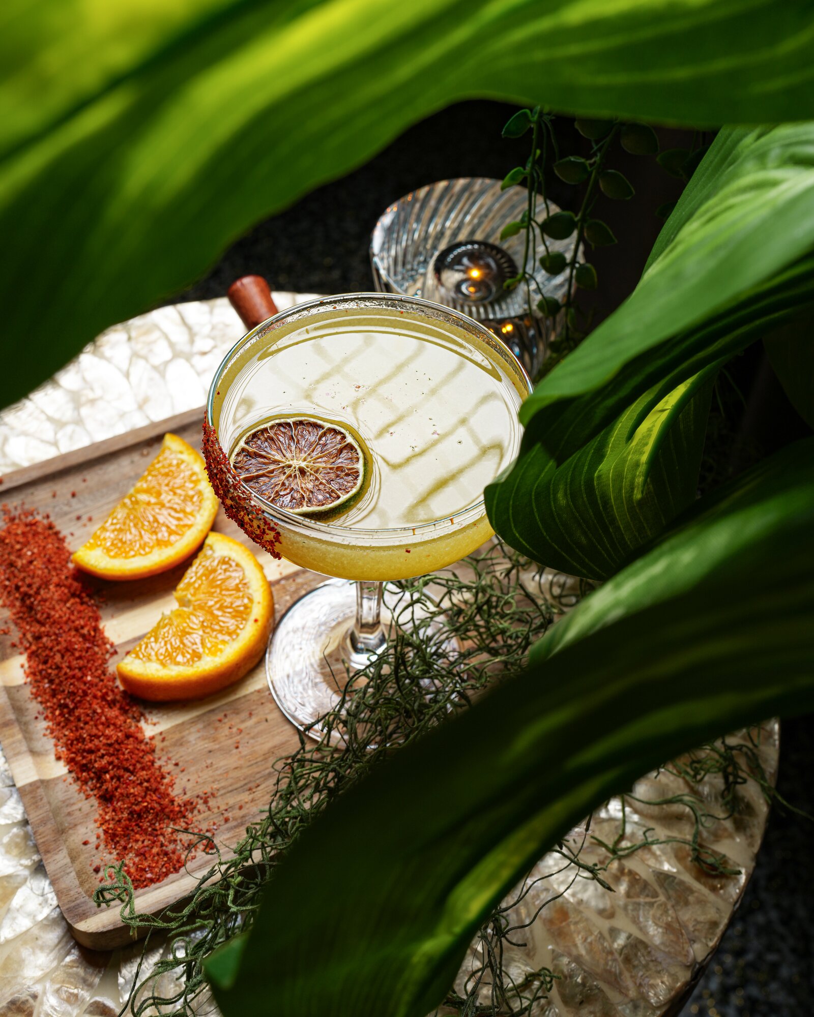 A citrus coupe cocktail with a chili-salt rim among tropical leaves